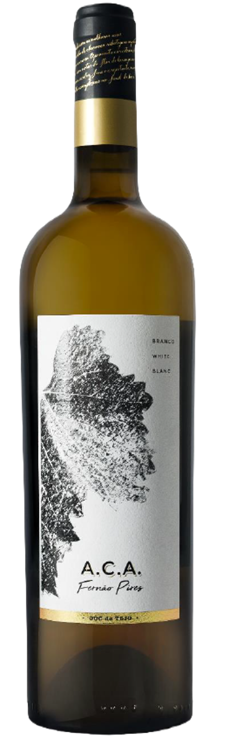 A.C.A Fernão Pires 2021